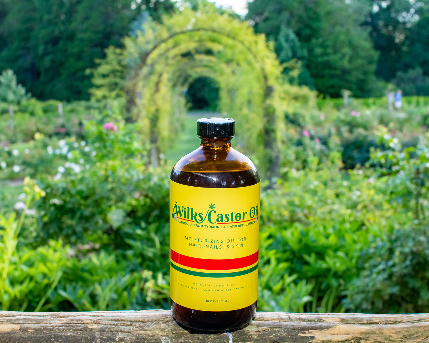 Wilks Castor Oil (16 oz. Bottle)